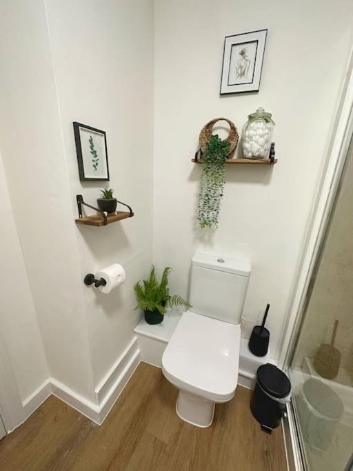 The Hive - Cosy Studio In Wells City Centre Екстериор снимка